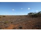 Lot 91 Ral Ral Avenue, Renmark SA 5341