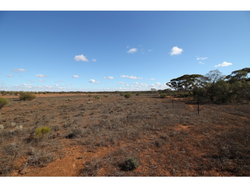 Lot 91 Ral Ral Avenue, Renmark SA 5341