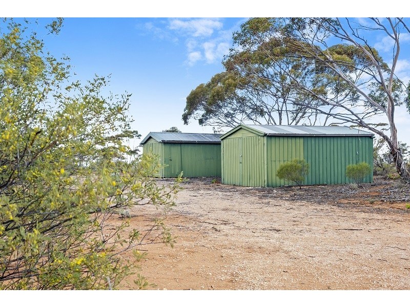 38 Petters Road, Morgan SA 5320