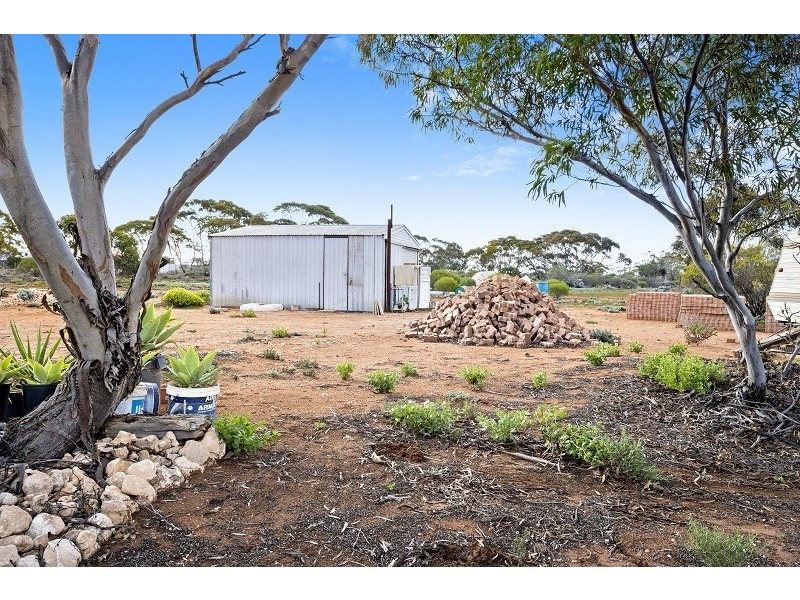 38 Petters Road, Morgan SA 5320