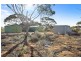 38 Petters Road, Morgan SA 5320
