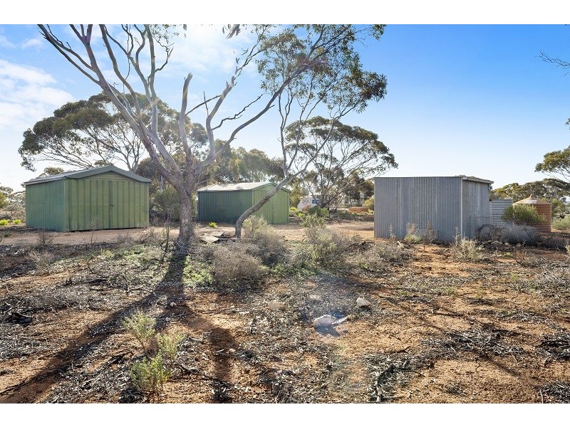 38 Petters Road, Morgan SA 5320