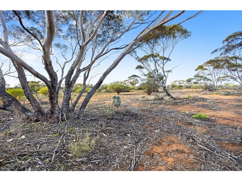 38 Petters Road, Morgan SA 5320