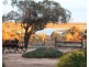 21162 Sturt Highway, Paringa SA 5340
