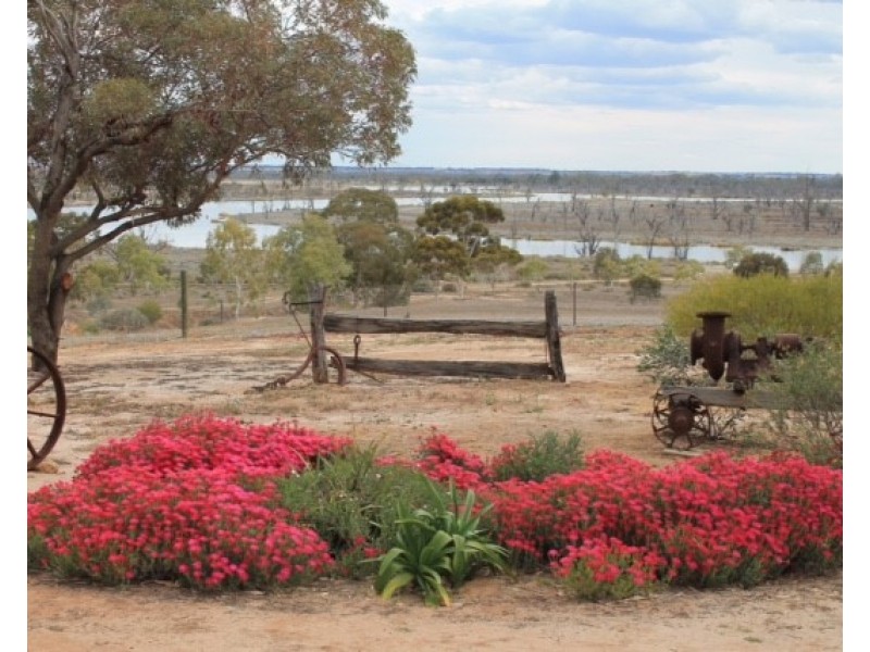 21162 Sturt Highway, Paringa SA 5340