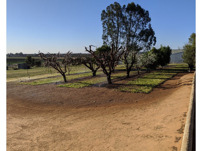 44 Spiller Road, Cobdogla SA 5346