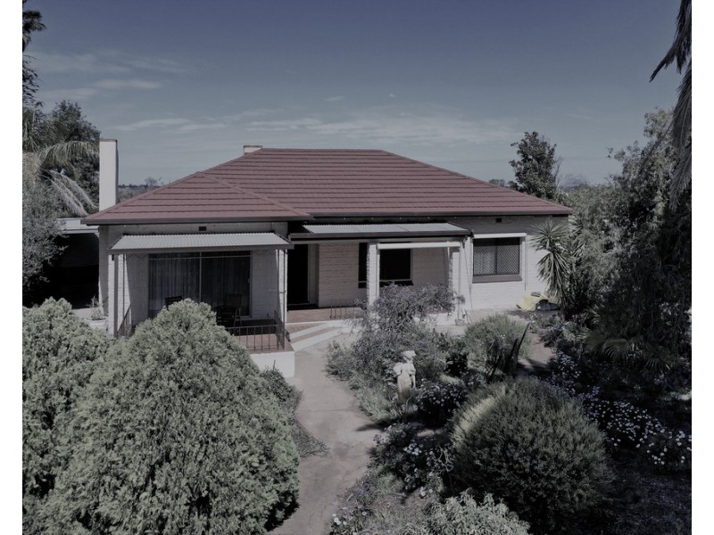 77 Casson Avenue, Loxton SA 5333