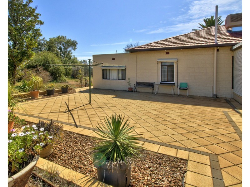 77 Casson Avenue, Loxton SA 5333