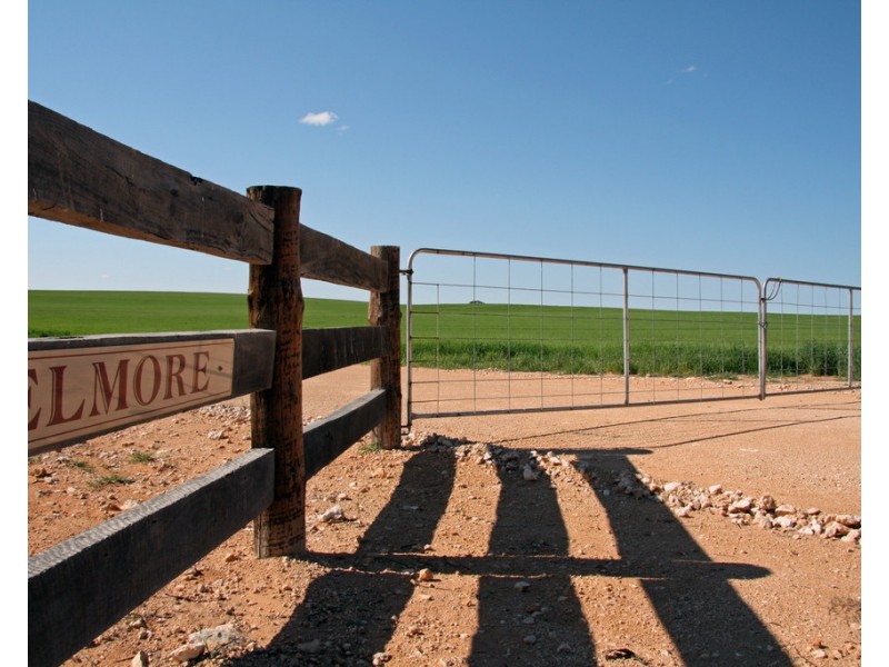 384 Dart Road, Wanbi SA 5310