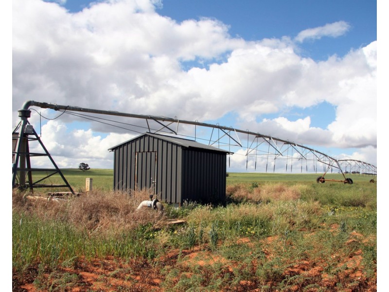 384 Dart Road, Wanbi SA 5310