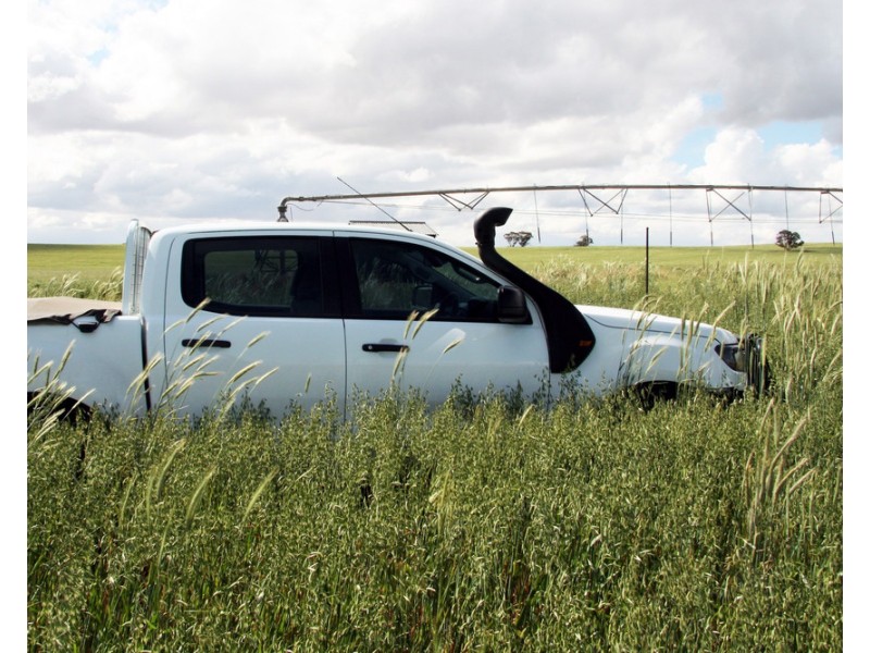 384 Dart Road, Wanbi SA 5310