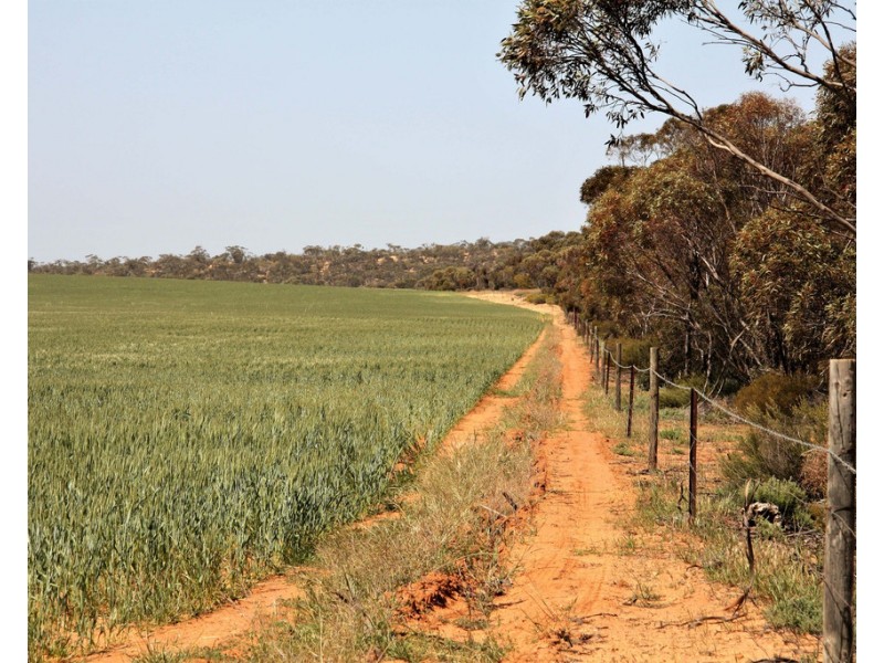 Sec 49,50 and 65 Hundred of Kekwick, Paruna SA 5311