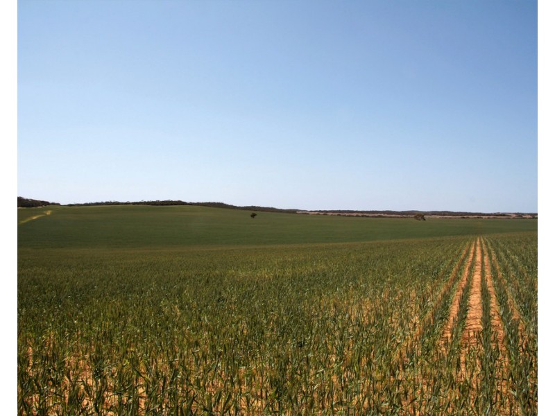 Sec 49,50 and 65 Hundred of Kekwick, Paruna SA 5311