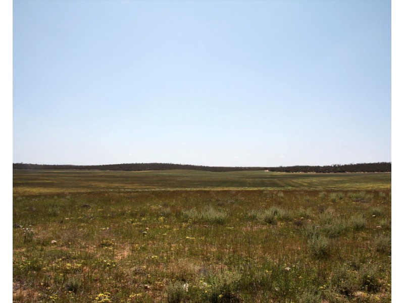 Sec 49,50 and 65 Hundred of Kekwick, Paruna SA 5311