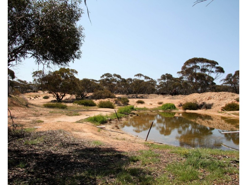 Sec 49,50 and 65 Hundred of Kekwick, Paruna SA 5311