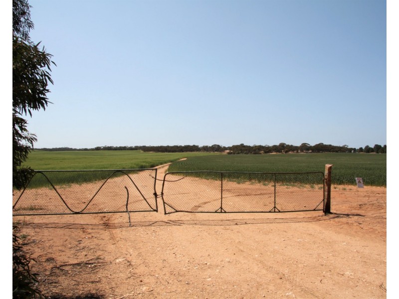 Sec 49,50 and 65 Hundred of Kekwick, Paruna SA 5311