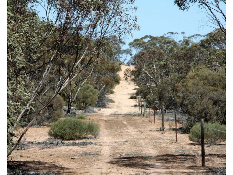 Sec 49,50 and 65 Hundred of Kekwick, Paruna SA 5311