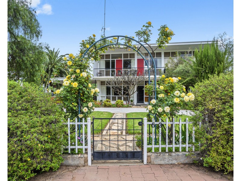 53 Murray Avenue, Renmark SA 5341