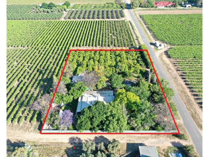 111 Twentyeighth Street, Renmark SA 5341