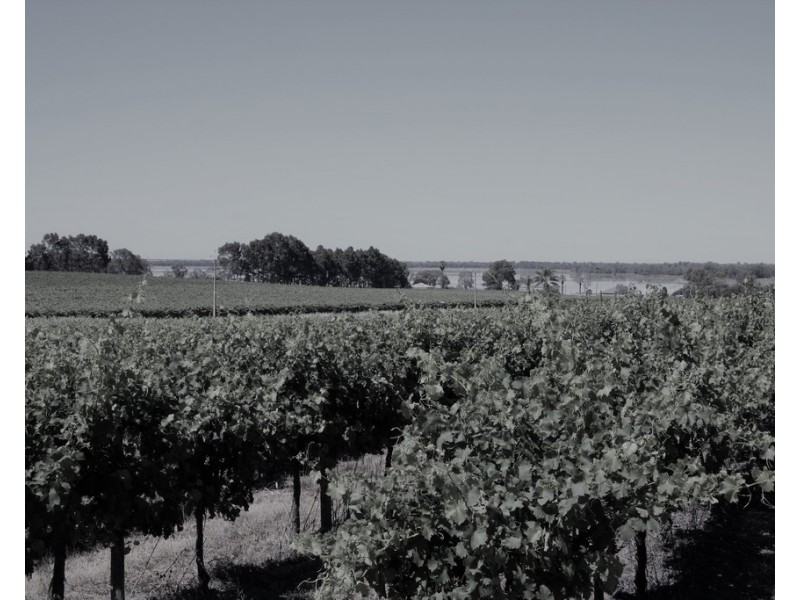 Lot 35 and 36 Schenscher Road, Moorook SA 5332