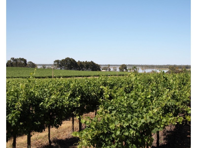 Lot 35 and 36 Schenscher Road, Moorook SA 5332