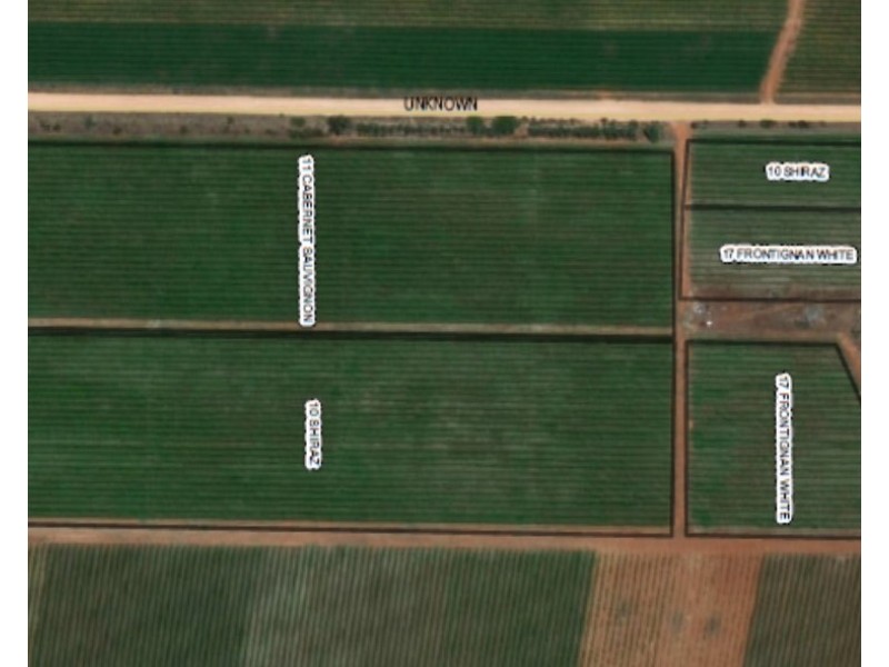 Lot 35 and 36 Schenscher Road, Moorook SA 5332