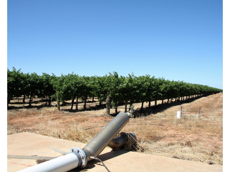 Lot 35 and 36 Schenscher Road, Moorook SA 5332