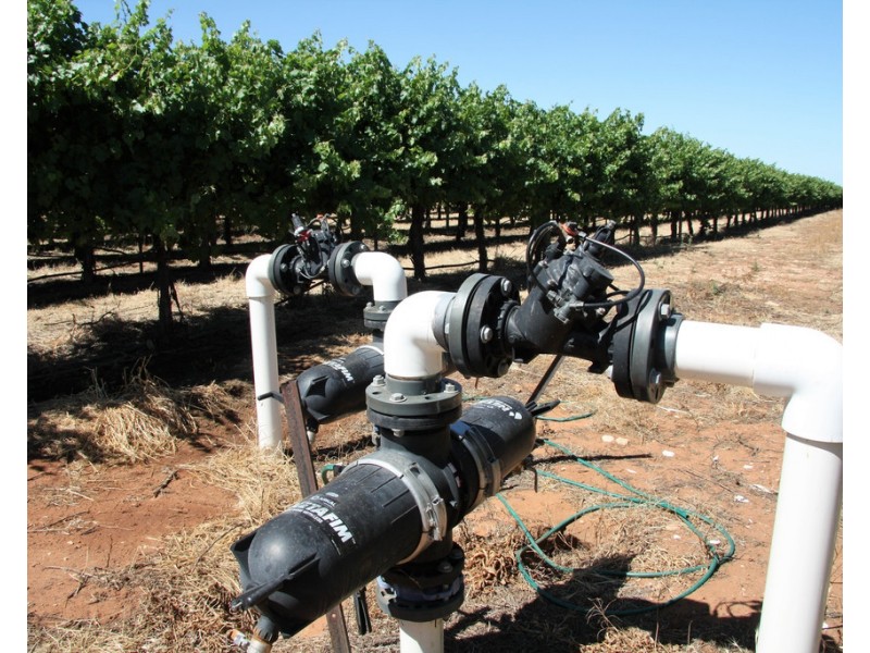 Lot 35 and 36 Schenscher Road, Moorook SA 5332