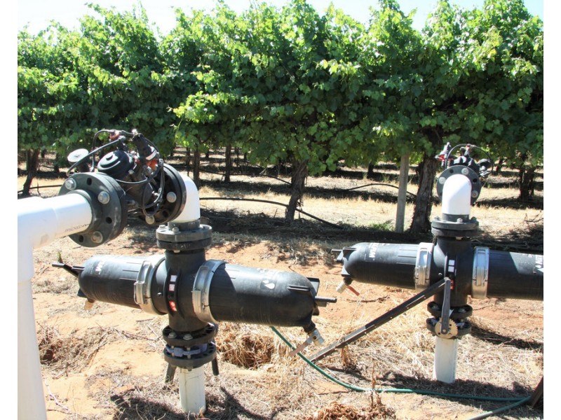 Lot 35 and 36 Schenscher Road, Moorook SA 5332