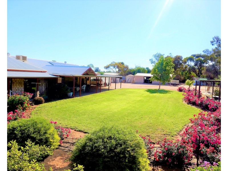 7 Duthie Court, Paringa SA 5340