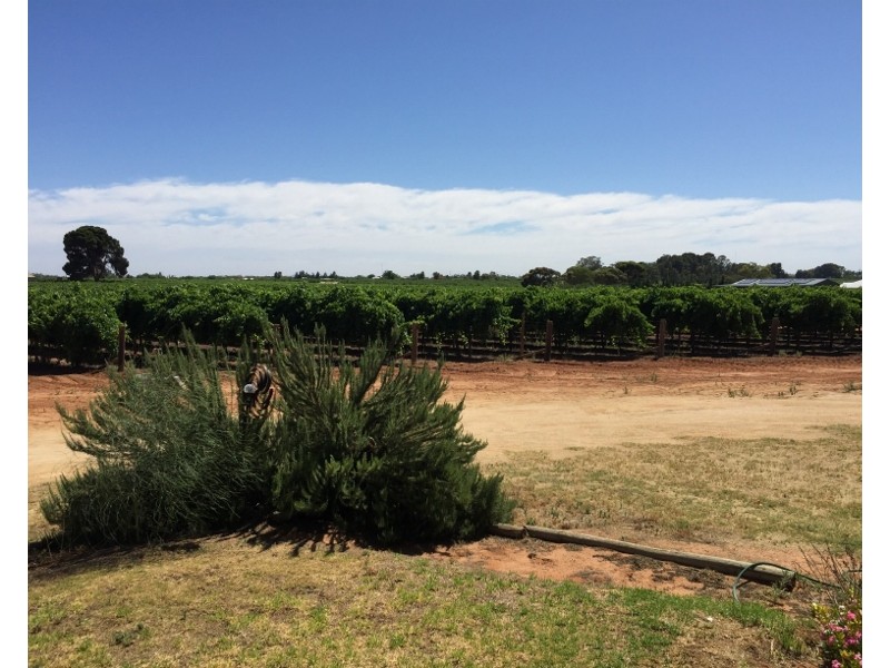 Unit 3 – 536 DEFONTENAY ROAD, Barmera SA 5345