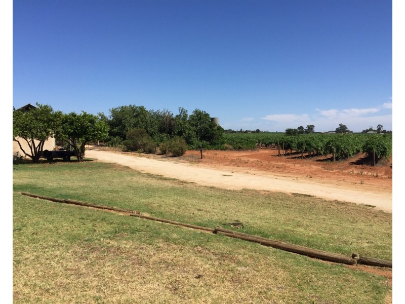 Unit 3 – 536 DEFONTENAY ROAD, Barmera SA 5345