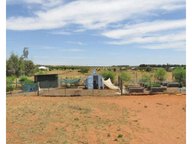 1097 Ramco Road, Sunlands SA 5322