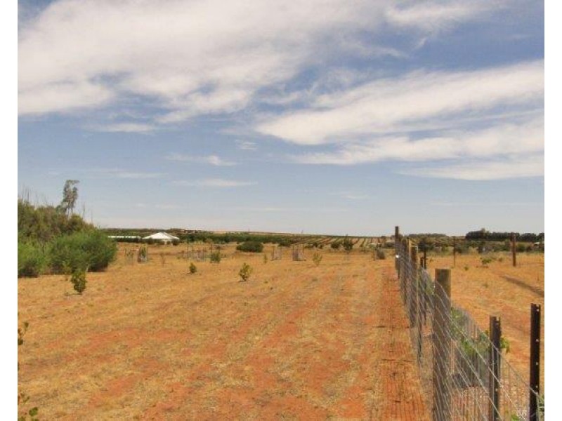 1097 Ramco Road, Sunlands SA 5322