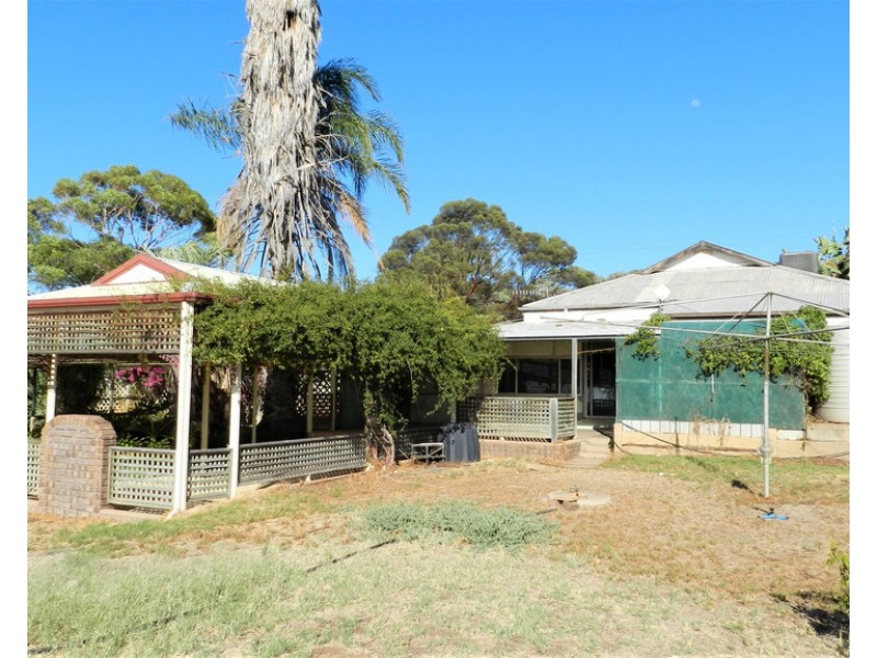 197 Winkie Road, Winkie SA 5343