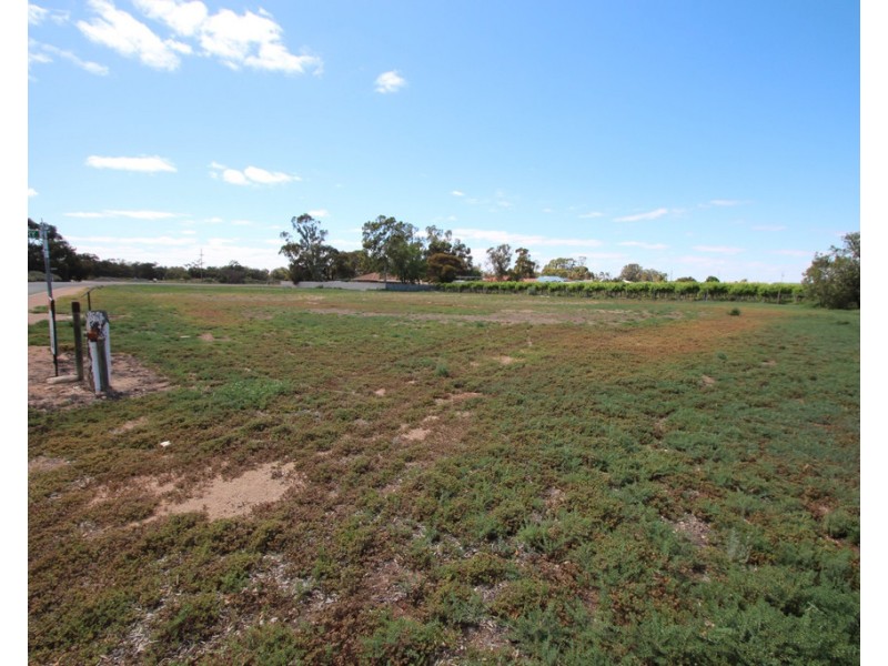 1 Thayne Terrace, Lyrup SA 5343