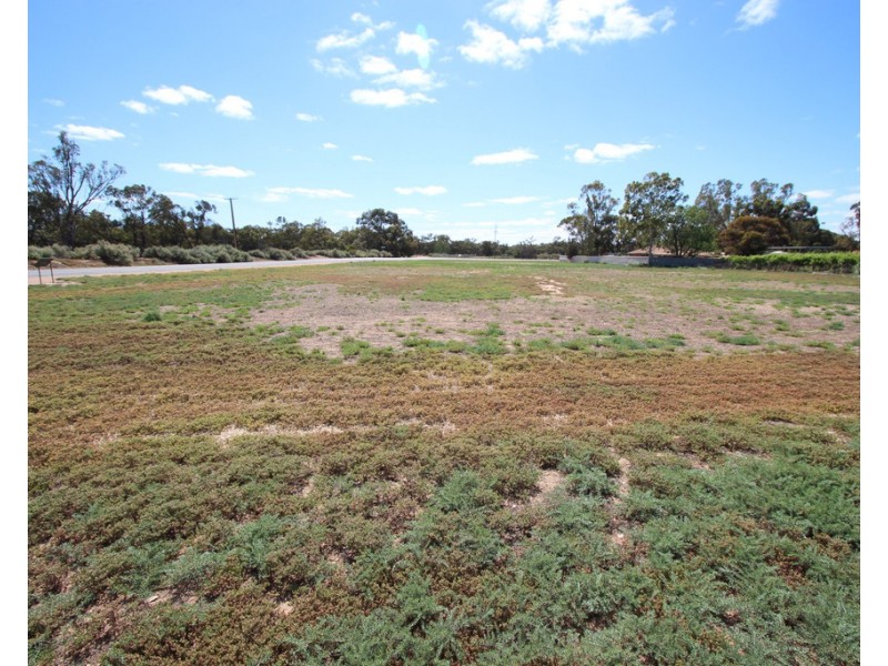 1 Thayne Terrace, Lyrup SA 5343