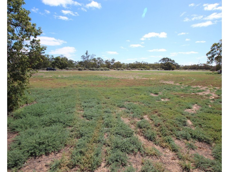 1 Thayne Terrace, Lyrup SA 5343