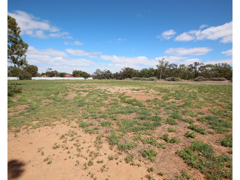 1 Thayne Terrace, Lyrup SA 5343