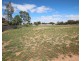 1 Thayne Terrace, Lyrup SA 5343