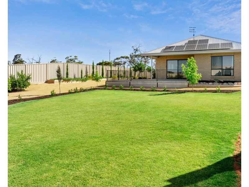 208 Ral Ral Avenue, Renmark SA 5341