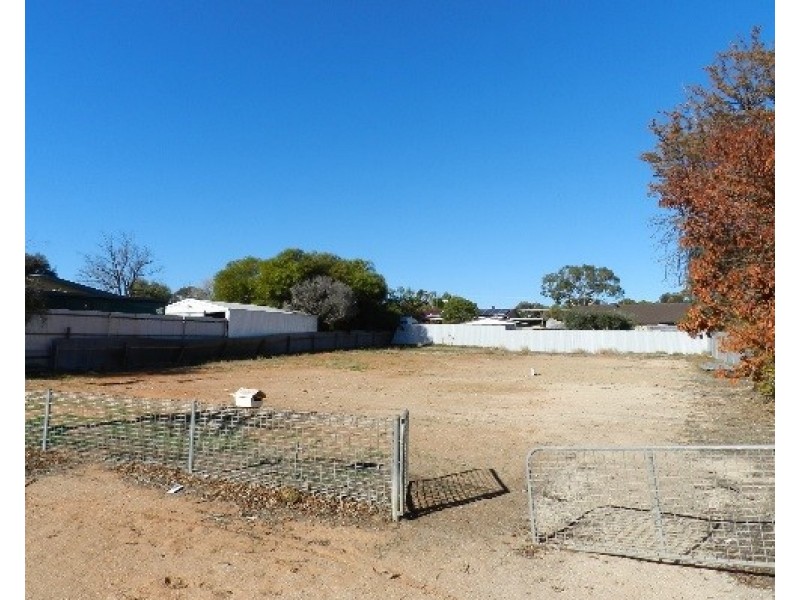 Lot 682 Baynes Street, Barmera SA 5345