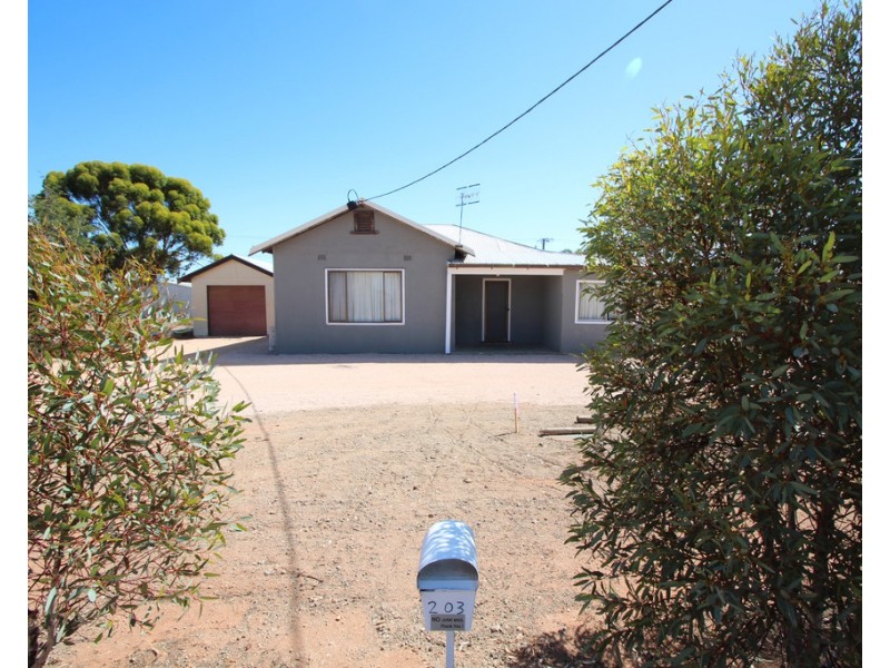 203 Ral Ral Avenue, Renmark SA 5341