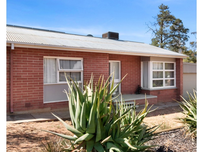 20 Hayward Terrace, Loxton SA 5333