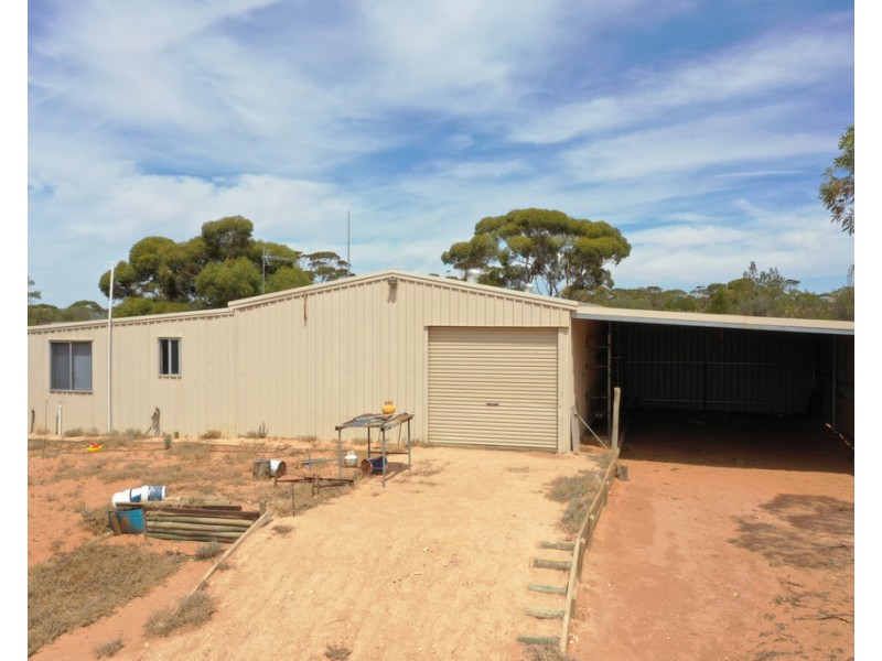 302 Story Avenue, Renmark SA 5341