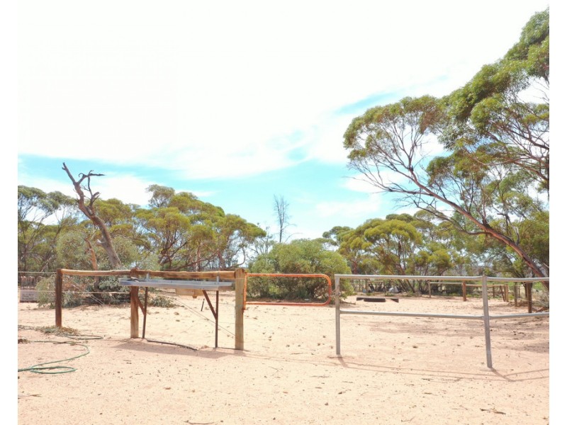 302 Story Avenue, Renmark SA 5341