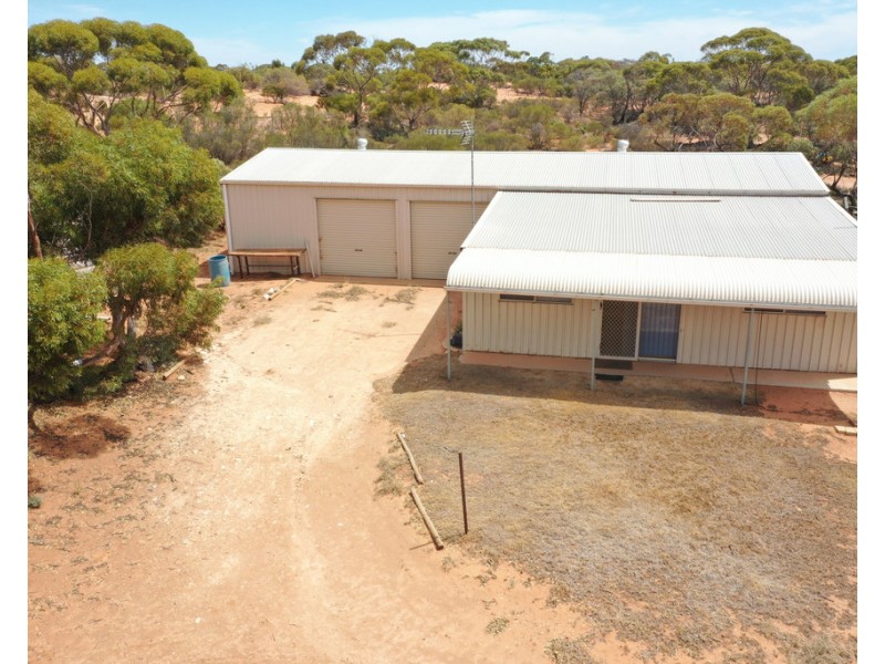 302 Story Avenue, Renmark SA 5341