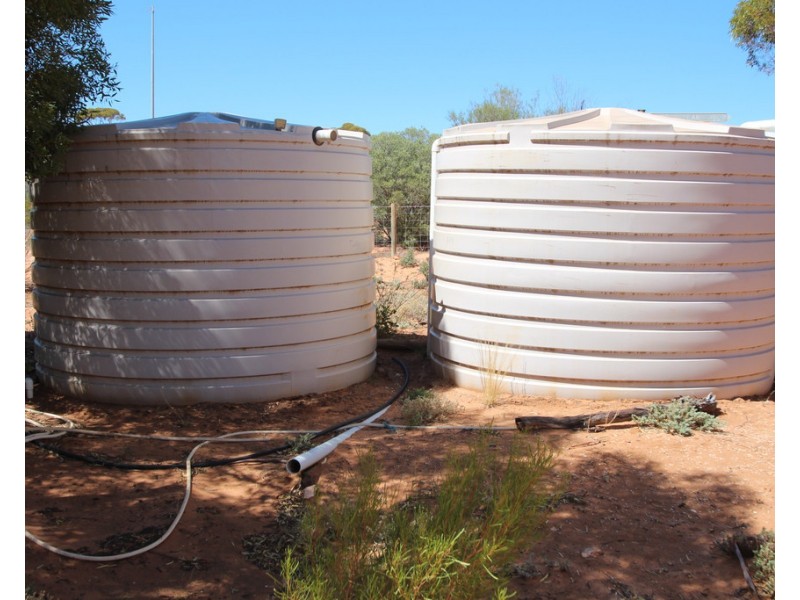 302 Story Avenue, Renmark SA 5341