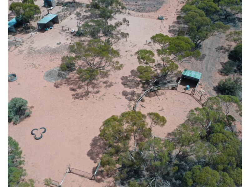 302 Story Avenue, Renmark SA 5341