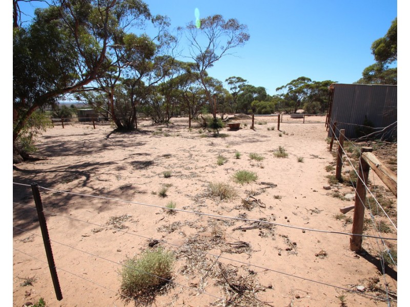 302 Story Avenue, Renmark SA 5341